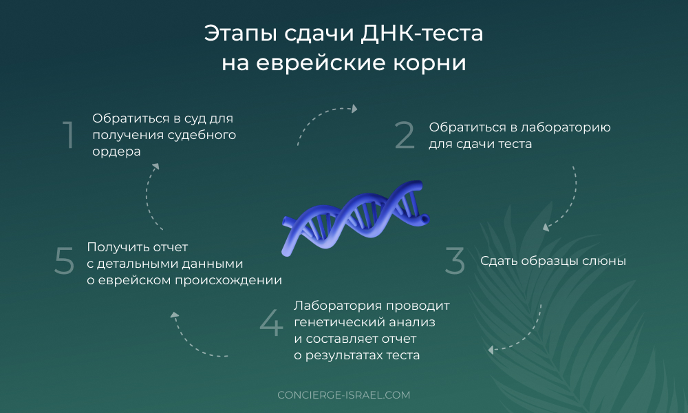 этапы сдачи днк теста